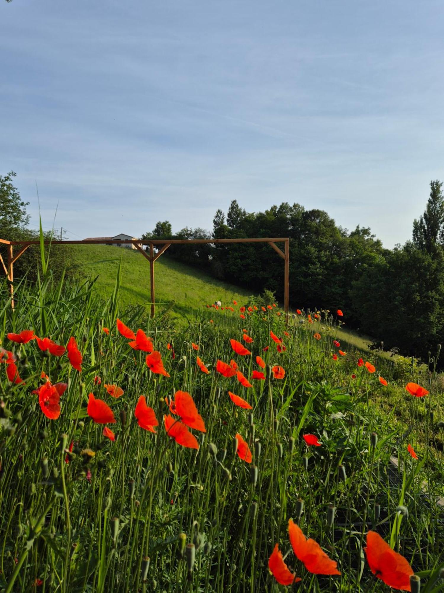 Maison Berthranet Seich ภายนอก รูปภาพ